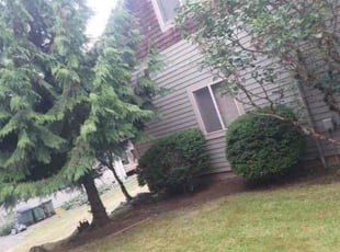 Cleanups by Michael Archouletta for WAI MING ANDREW T. in Bellingham, WA