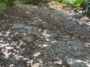 Leaf Removal by Ira Foster for Anthony R. in Titusville, FL