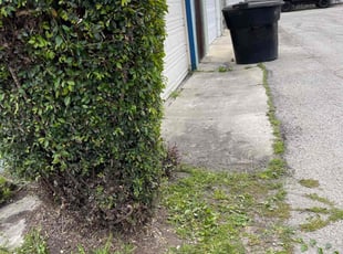 Bush Trimming by Uriel Ocampo for Sean D. in Torrance, CA