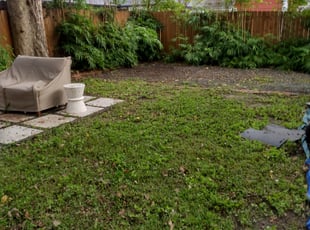 Leaf Removal by Daniel Campos for Rebecca P. in Houston, TX