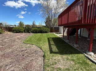Cleanups by Travis Young for Michael D. in Centennial, CO