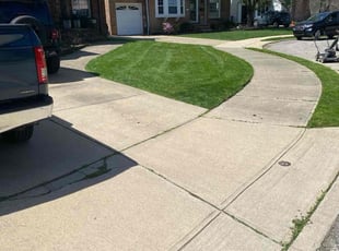 Tish V.'s Grass Cutting service result
