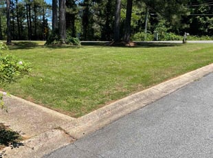 Marcus B.'s Lawn Mowing Service service result