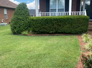 Bush Trimming by Chris Wieland for Robert H. in Murfreesboro, TN