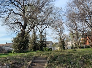 Cleanups by Aaron Vertreese for Derek M. in Kansas City, MO