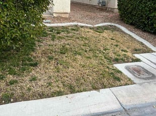 Weeding by Ashley Richards for Ang S. in Las Vegas, NV