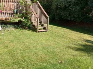 Tracy W.'s Lawn Maintenance service result