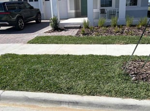Laura D.'s Yard Cutting service result