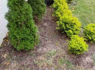 Weeding by Mark Redden for Justin D. in Atlanta, GA