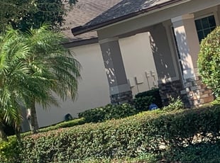 Bush Trimming by Alain Beckfordxx for Shakeena A. in Tampa, FL