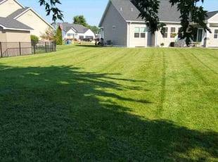 Lisa G.'s Lawn Care service result