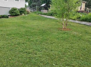 Andrea G.'s Yard Cutting service result