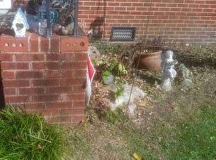 Bush Trimming by Eric Morgan for Linda H. in Newport News, VA