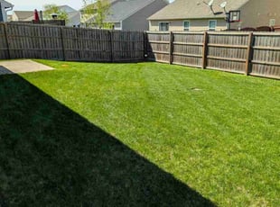 Felancie Z.'s Lawn Service service result