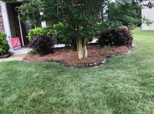 Mulching by Marco Antenor for Donald R. in Charlotte, NC