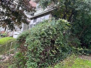 Bush Trimming by Robert Euson for Christiane M. in Syracuse, NY