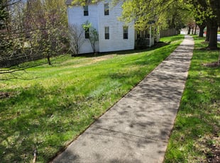Landscaping by Jeremy Oliver for Nancy F. in Laurel, MD