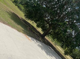Leaf Removal by William Harvey for Christina C. in Davenport, FL