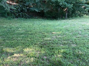 Cleanups by Declan Johnson for Kathy T. in Pineville, NC