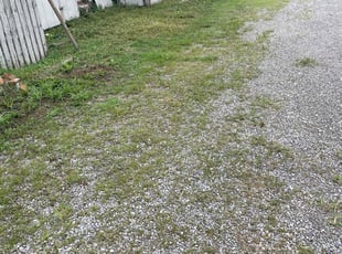 Weeding by SERGIO SANCHEZ for andrew b. in Belleville, IL