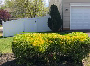 Bush Trimming by Alex Souza for Romaine K. in Glen Burnie, MD