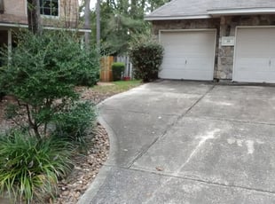 Bush Trimming by Linda Jones for Jeanette H. in Spring, TX
