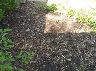 Leaf Removal by Nicole Jeannin for Lori B. in Kansas City, MO
