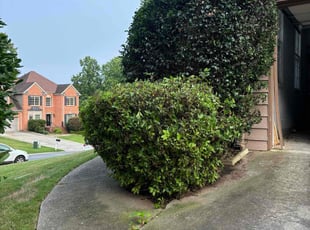 Bush Trimming by Yaneth Figueroa for Calvin W. in Acworth, GA