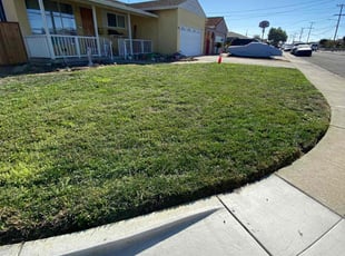 Htoi J.'s Lawn Service service result