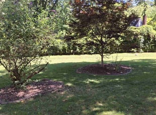 Nancy I.'s Grass Cutting service result