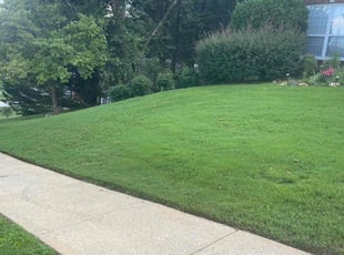 Karen V.'s Grass Cutting service result