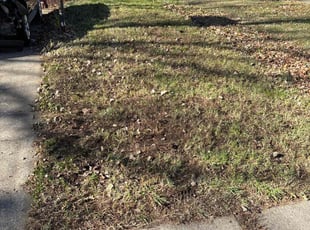 Leaf Removal by Tim Kirkpatrick for Maceo E. in Lee's Summit, MO