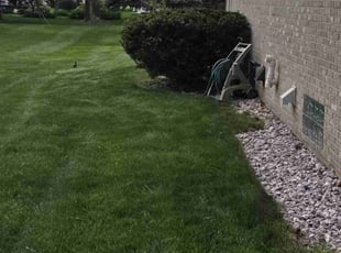 Bush Trimming by Steve Morgan for Dattateraya S. in Troy, MI