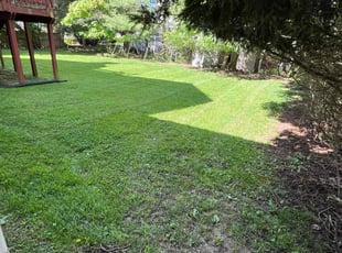 Jean W.'s Grass Cutting service result