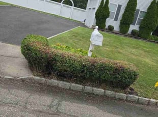 Bush Trimming by Miriam Mayoral-Gress for frederick V. in Medford, NY