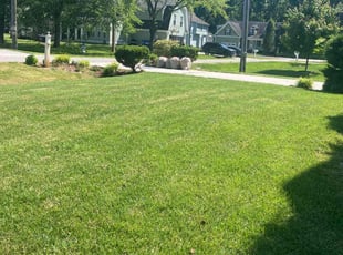 Nancy L.'s Lawn Mowing service result