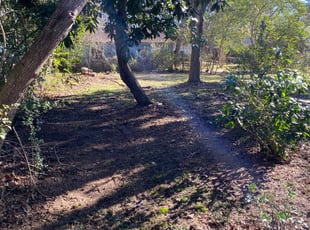 Cleanups by William Sellers for Andrew D. in North Charleston, SC