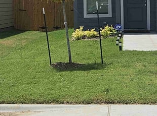 Rick M.'s Yard Cutting service result