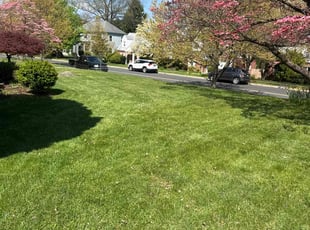 tamiara s.'s Lawn Care service result
