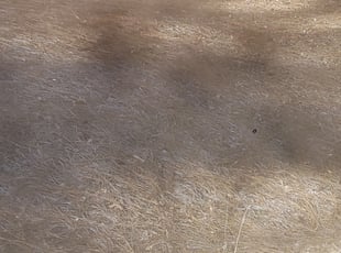 Lynda E.'s Cleanups service result