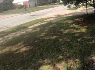 Leaf Removal by joe birsta for Jim A. in Haltom City, TX