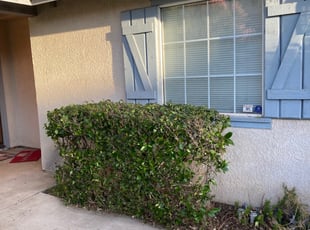 Bush Trimming by Nommie Miner for Susie C. in Moreno Valley, CA