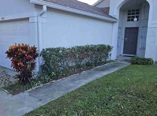 Bush Trimming by Christopher Roberts for Jeffrey M. in Orlando, FL