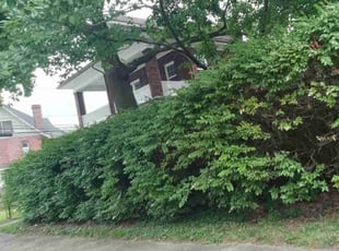 Bush Trimming by Robert Pittman for Jason M. in Columbus, OH