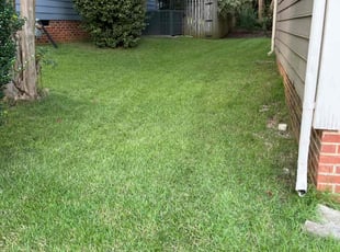Nikalus A.'s Lawn Maintenance service result