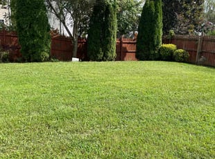 Jamey S.'s Lawn Mowing service result