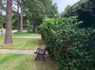 Bush Trimming by Alex Morales for Blake J. in Houston, TX