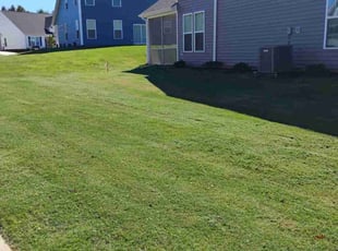 Julius K.'s Lawn Care service result