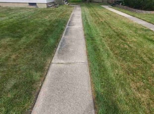 Charles R.'s Lawn Mowing service result