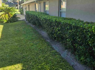 Bush Trimming by Jon Mccormick for Bill L. in DeBary, FL